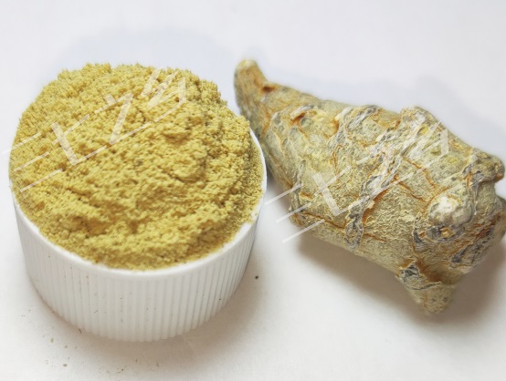 三七过量吃