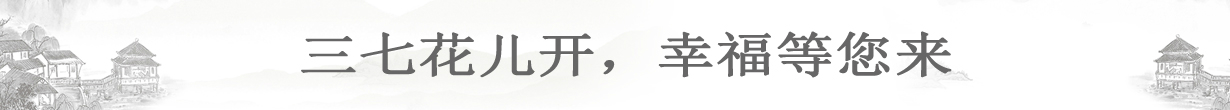 三七之乡9