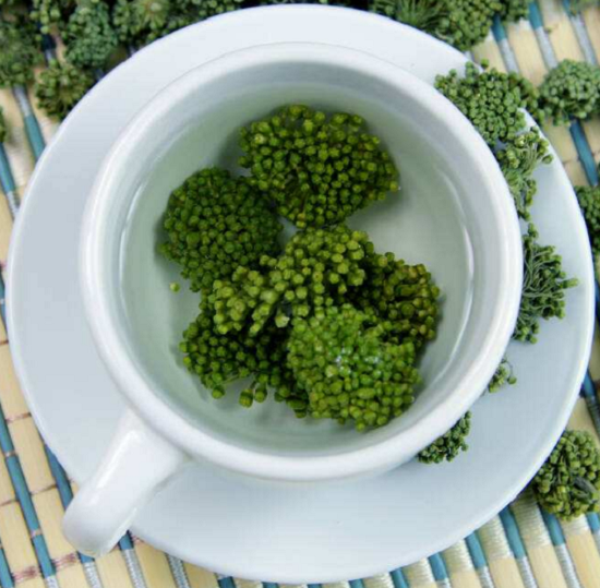 三七花