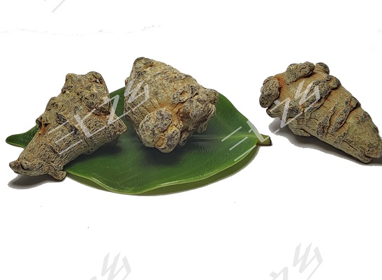 小三七