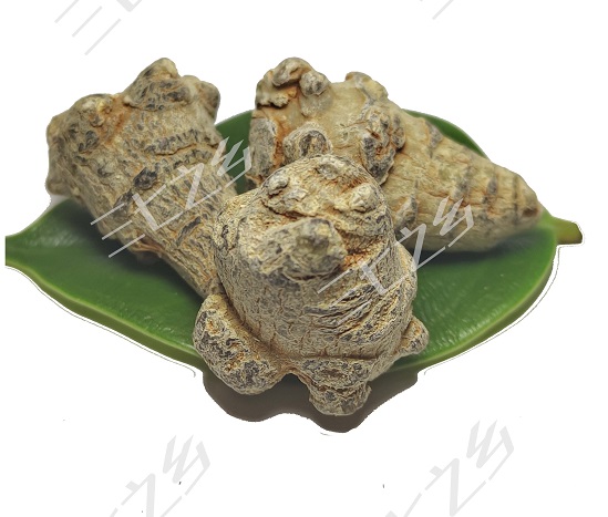 三七的价格
