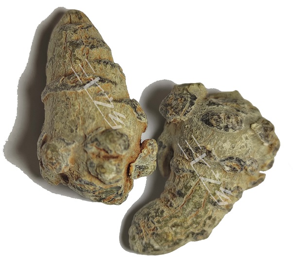 三七怎么选