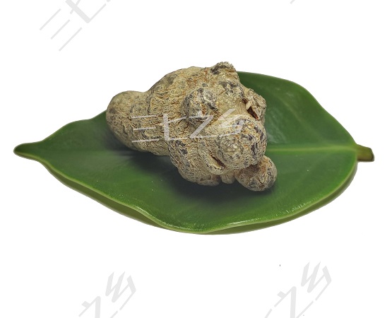柔软三七