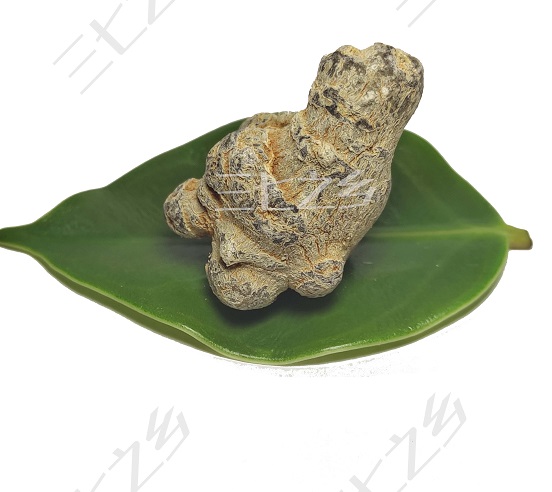 三七