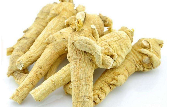 西洋参的样子