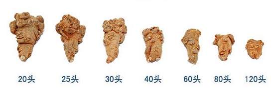 三七的各种头数